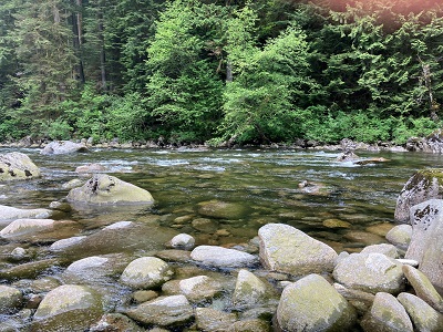 Photo d'une rivière.